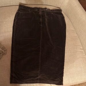 Elegant Brown Velvet Skirt